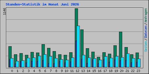 Stunden-Statistik im Monat Juni 2026